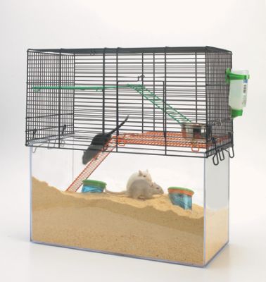 Cage d'un hamster avec terrarium prolongé